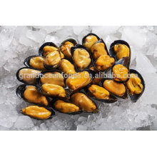 Moules bouillies congelées de fruits de mer avec coquille